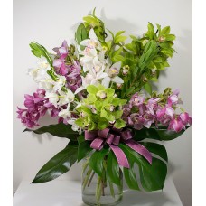 Bunch Of Giant Orchids (L)