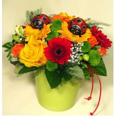 Sweet ladybug! (Medium)