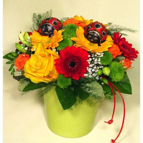 Sweet ladybug! (Medium)