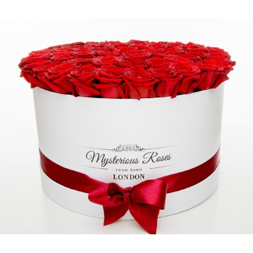 Red Roses In A Giant Rose Box