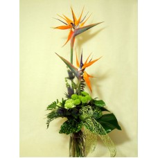 Welcome parrot with flowers (Large)