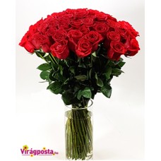 Only roses for lovers - giant bouquet of roses (Large)