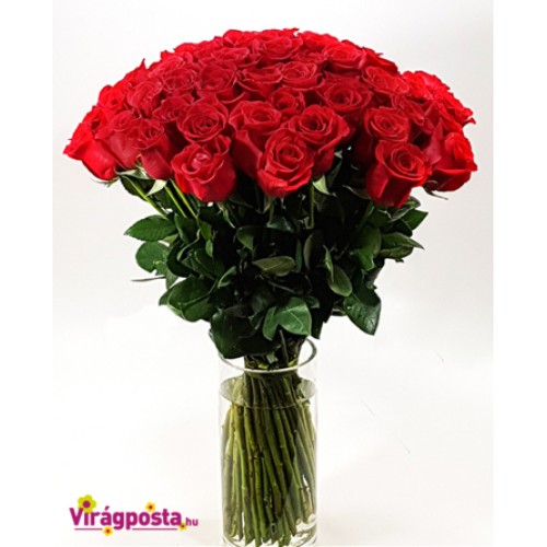 Only roses for lovers - giant bouquet of roses (Large)
