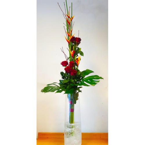 Unlimited love - giant bouquet of roses with extra long Ecuadorian roses (XL)