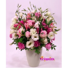 Lisianthus in a flowerpot - cloud of pink flowers (Medium)