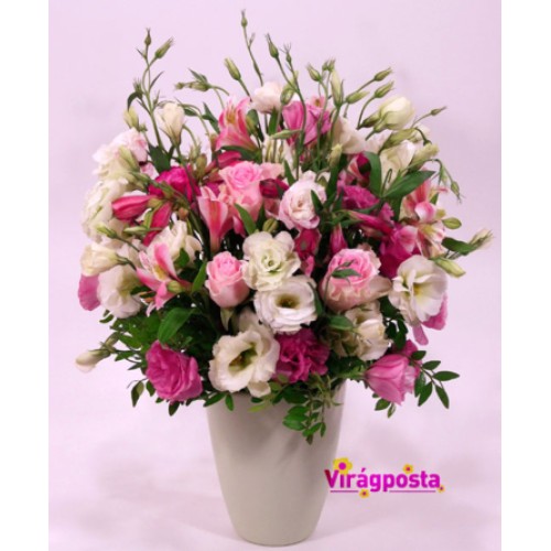 Lisianthus in a flowerpot - cloud of pink flowers (Medium)