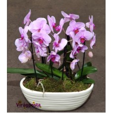Orchideák óriás csónak keramiában