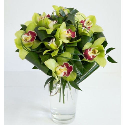 Orchids in green - round bouquet (Medium)