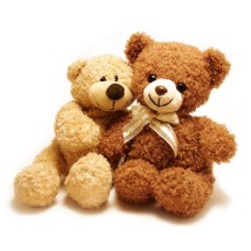 Stuffed Animals