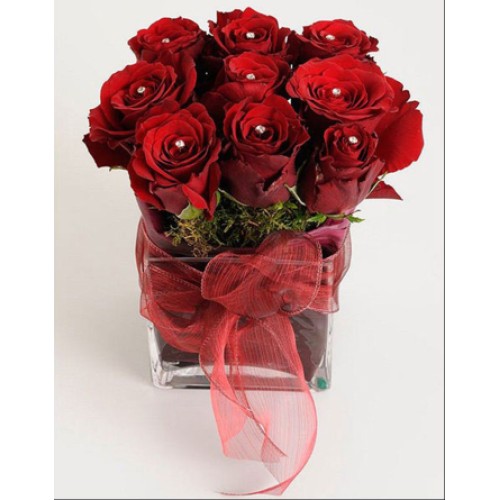 Red rose with sparkling crystals in a glass cube