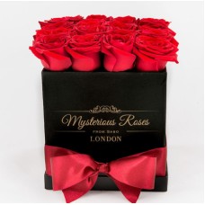 Red roses in an exclusive box 16 - 25 stems (Medium)