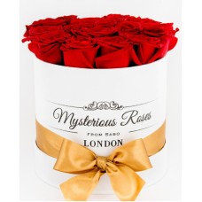 Red roses in a cylinder box (Medium)