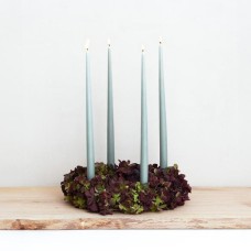 The elegant Advent wreath