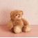 Stuffed Animal