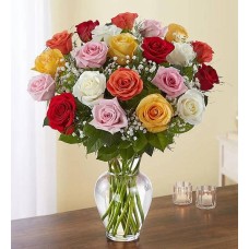 Ultimate Elegance Long Stem Assorted Roses (24 Stems Assorted)
