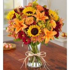 Fields Of Europeâ® For Fall (Small)