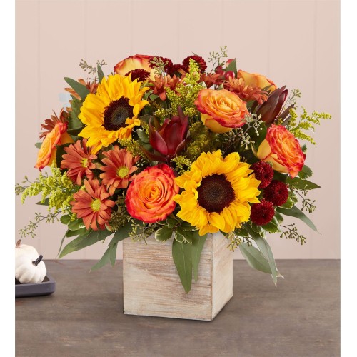 Harvest Glowâ„¢ Bouquet (Small)
