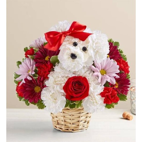 Love Pup