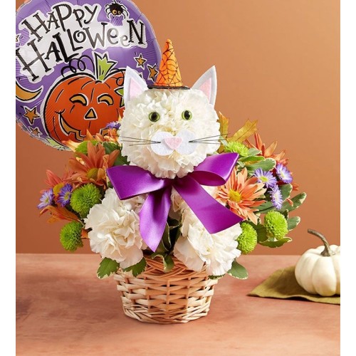 Purrfect Potions Fabulous Feline (Purrfect Potions Fabulous Feline with Balloon)