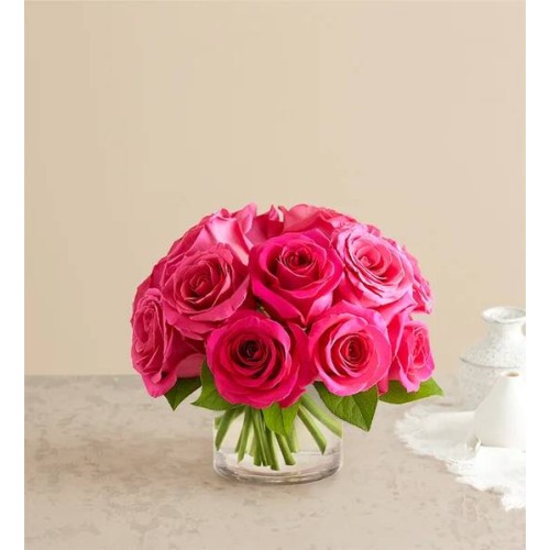 Contemporary Hot Pink Roses (Large)
