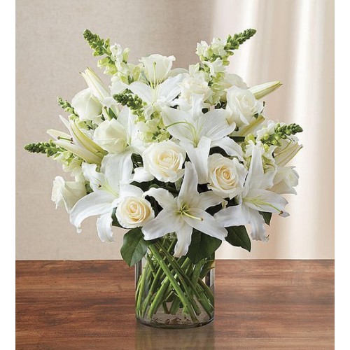 Classic All White Arrangement (Small)