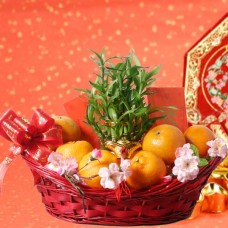 Lucky Bamboo Plant And  18 Mandarin Oranges Gift Basket