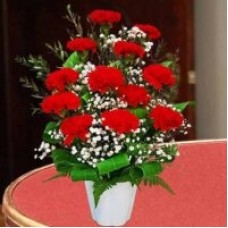 12 Red Carnations in Vase