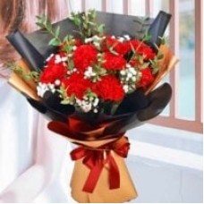 12 Red Carnation With Baby Breath Hand Bouquet