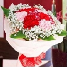 12 Mixed Carnations Posy