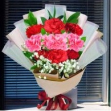 6 Red & 3 Pink Carnations Flowers