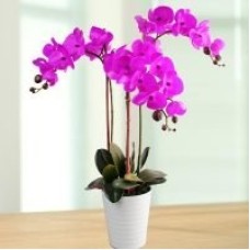 Artificial Phalaenopsis Purple Orchid Table Arrangement