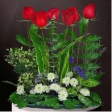 6 Red Roses & White Chrysanthemum Flower Small Table Arrangement