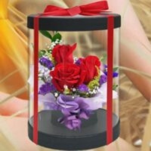 3 Red Roses in Cylinder Gift Box 20cm Height Valentine's Day Flower