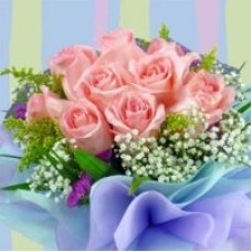 10 Peach Roses Valentine's Day Delivery