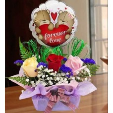 19 Shining Blue Roses Gift Box