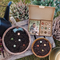 Personalised Wildflower Seed Bombs Gift Box