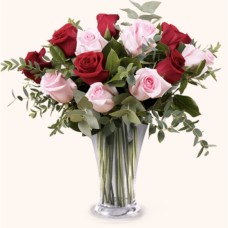 12 PINK AND RED ROSES ! (Small)