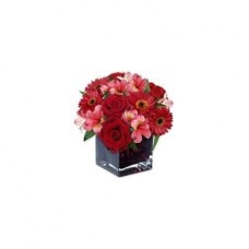 DAZZLING LOVE (Small)