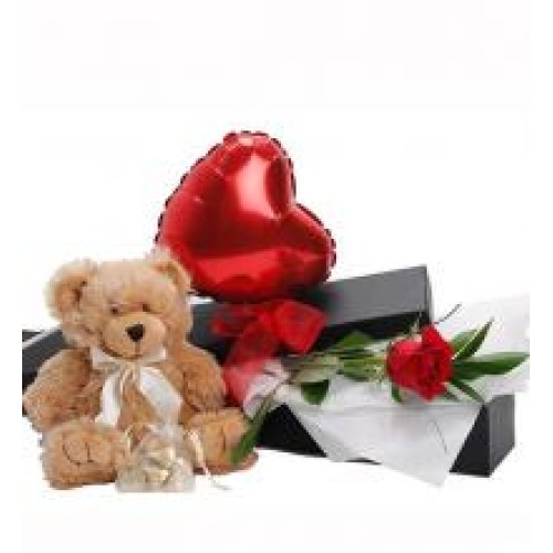 Gift Box With Teddy