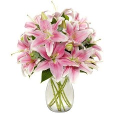 12 Stem Pink Lilies Vase