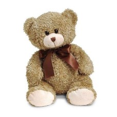Medium Brown Teddy Bear