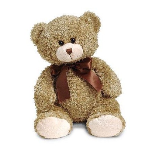 Medium Brown Teddy Bear
