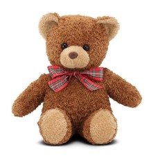 Small Brown Teddy Bear