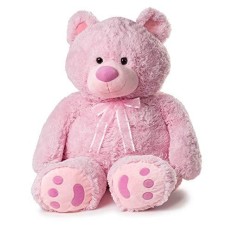 Small Pink Teddy Bear
