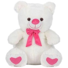 Small White Teddy Bear