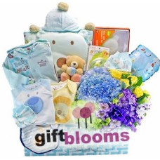Sweet Arrival Baby Boy Gift Basket