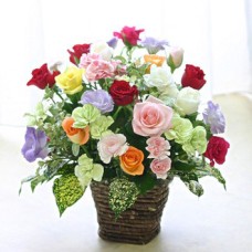 Mix Color Rose Basket to Japan
