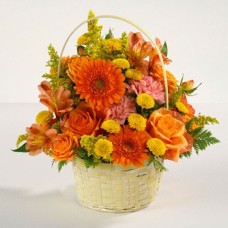 Orange Warmth To Japan