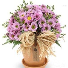 Fall Flower Pot to South Korea-Purple