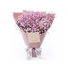 Gypsophila Beauty to Taiwan